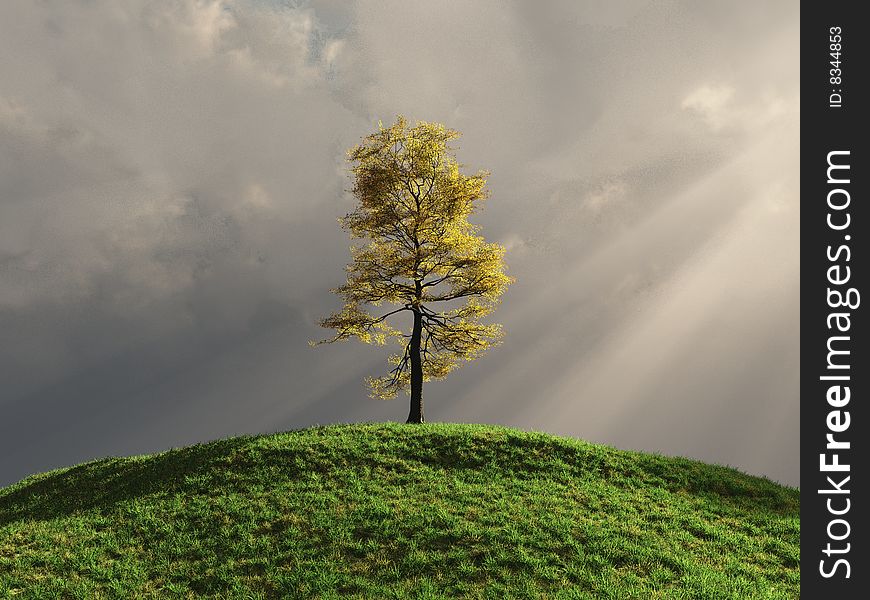 Tree on a hill in autumn lit by sunrays