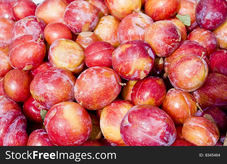 Fresh, ripe, plums at a fruit market. Fresh, ripe, plums at a fruit market