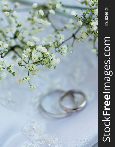 Weddings rings on the background and gipsophila in focus. Weddings rings on the background and gipsophila in focus