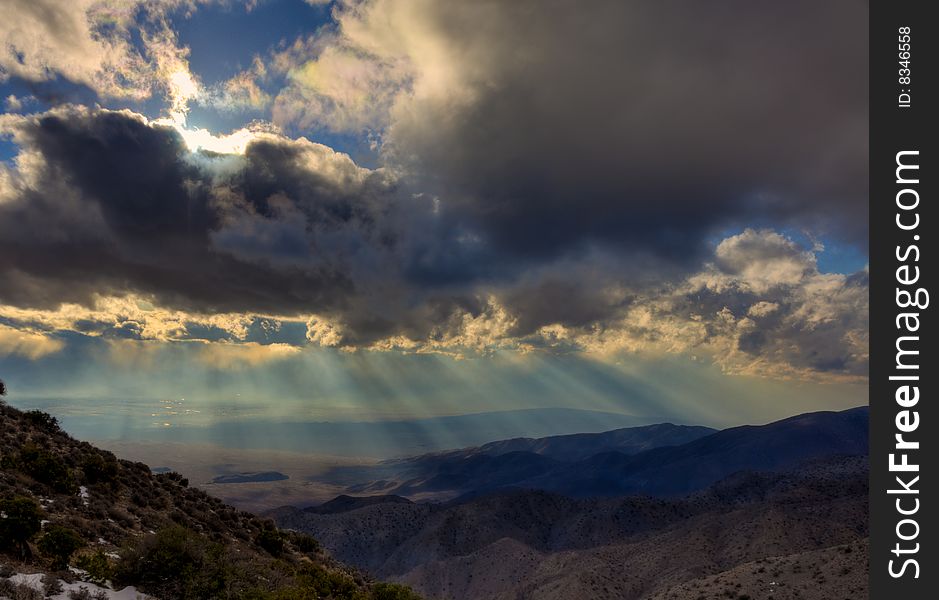 A Storm Coming Over Joshua Trees