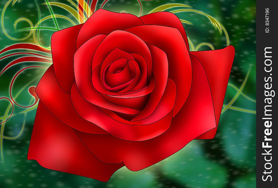 Red rose on a background of abstraction