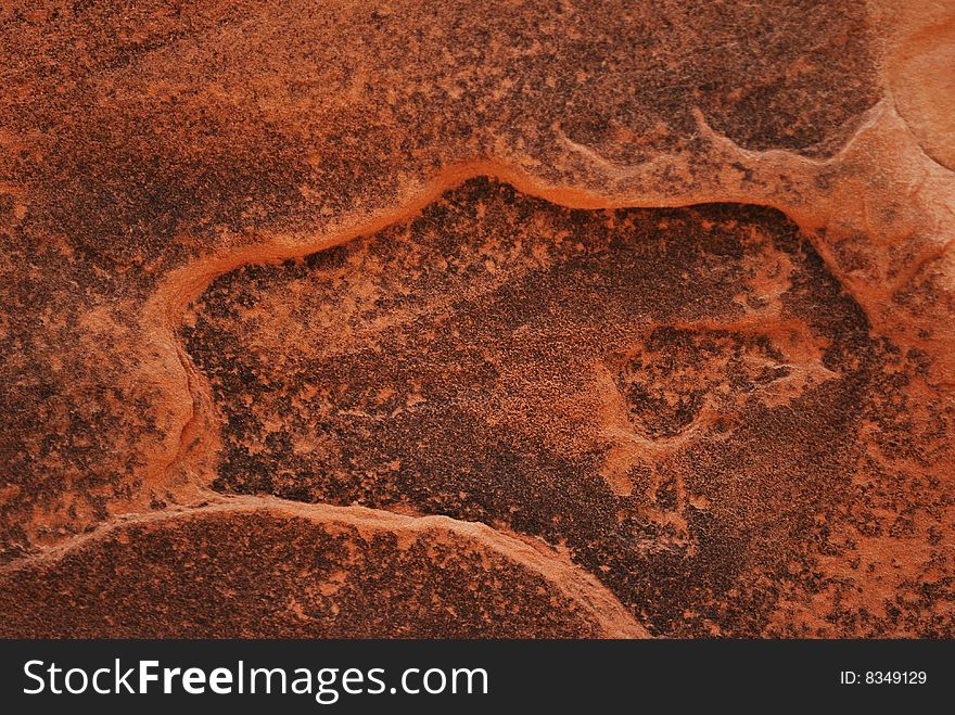 A close-up of eroded entrada sandstone texture