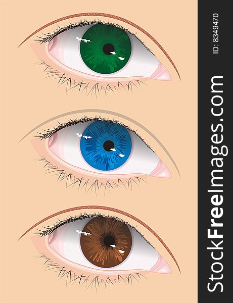 Illustration of vector eye in three color