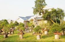 The Villa With A Garden Royalty Free Stock Image The Villa With A Garden Royalty Free Stock Image