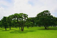 Japan S Imperial Palace Lawn Outside The Court Royalty Free Stock Image