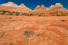Coyote Buttes Royalty Free Stock Image Coyote Buttes Royalty Free Stock Image