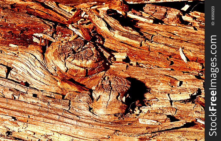 Shot of old decaying wood, it's grain and texture with the center wood knotted. Shot of old decaying wood, it's grain and texture with the center wood knotted