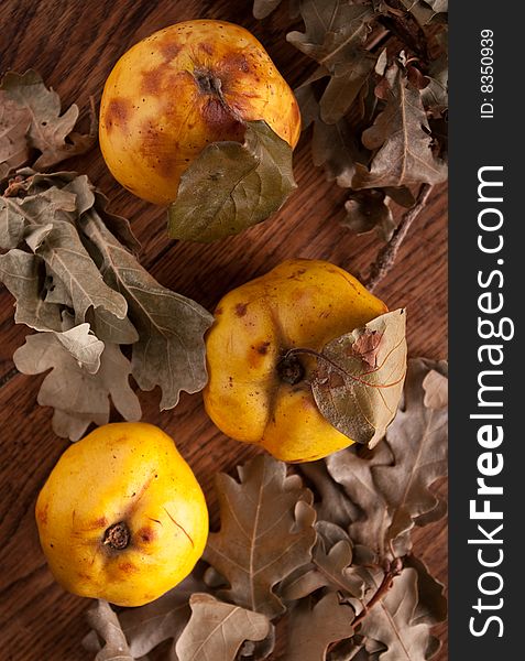 Quince fruit composition on the table. Quince fruit composition on the table