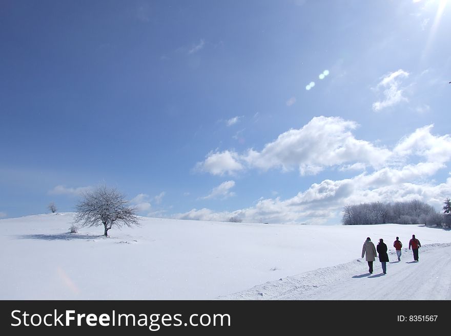 Mountain Tara, one of the winter tourism centers in Serbia.