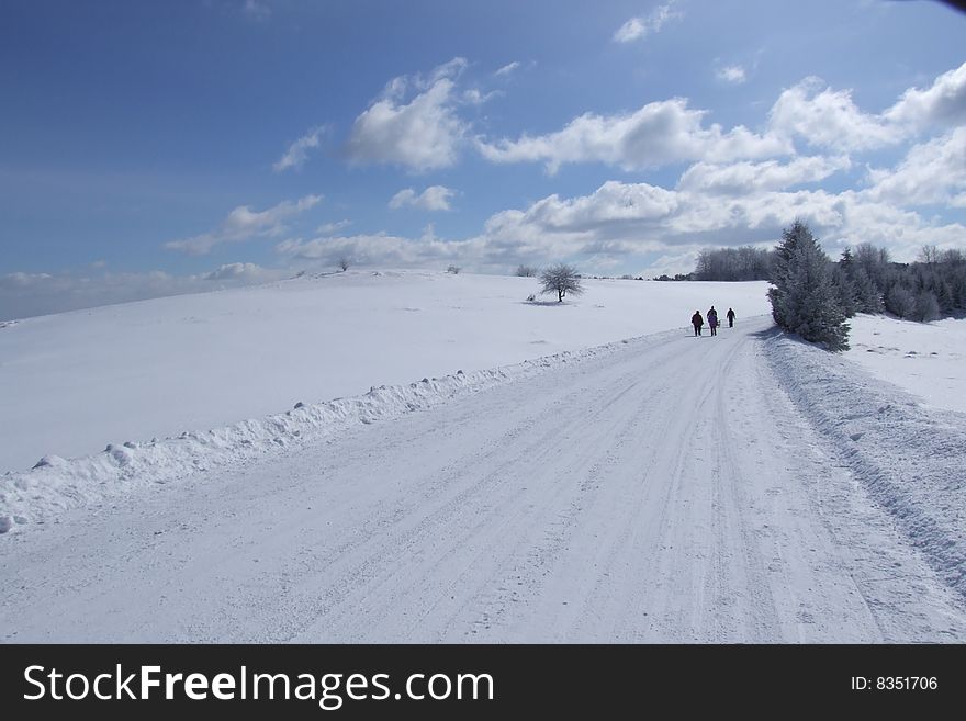 Mountain Tara, one of the winter tourism centers in Serbia.