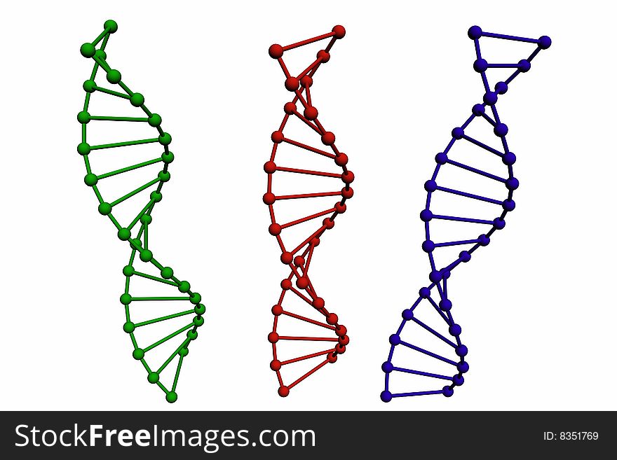 3D model of DNA structure