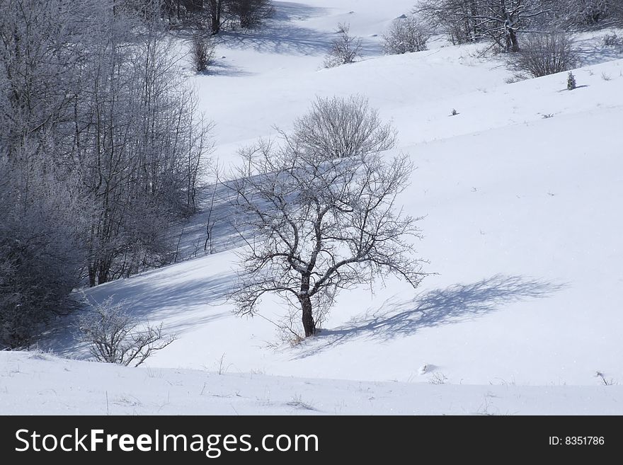 Mountain Tara, one of the winter tourism centers in Serbia.