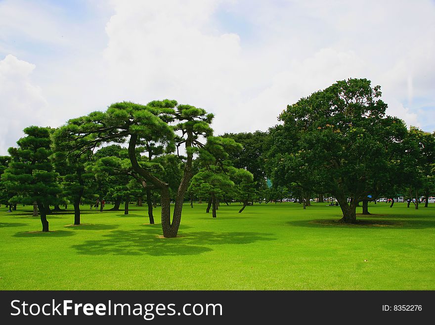 Japan's Imperial Palace lawn outside the Court