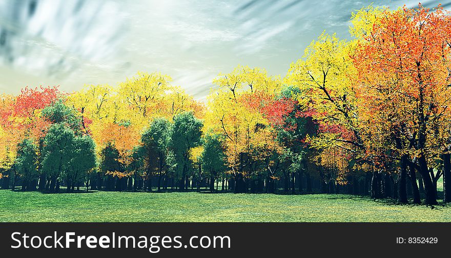 Wonderful scenery with colorful autumn trees. Wonderful scenery with colorful autumn trees