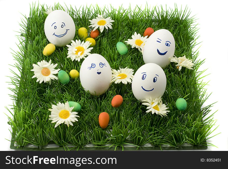 Happy and colored eggs on grass and white background. Happy and colored eggs on grass and white background