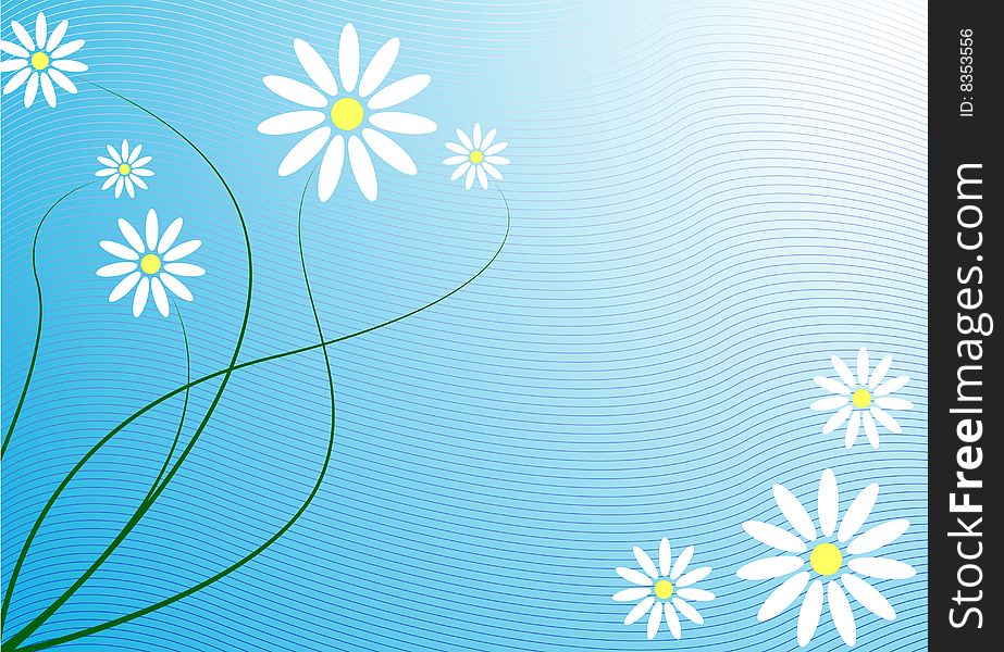 White flowers on blue background. White flowers on blue background