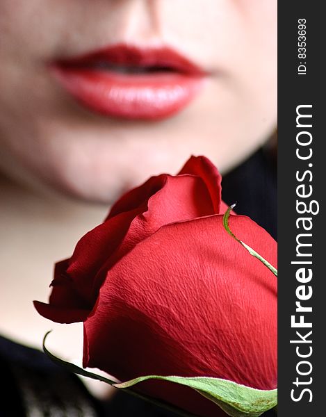 Female with red rose. Focus on rose