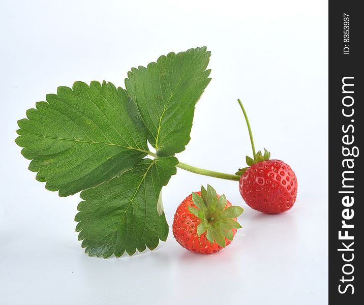 strawberrys on a white background