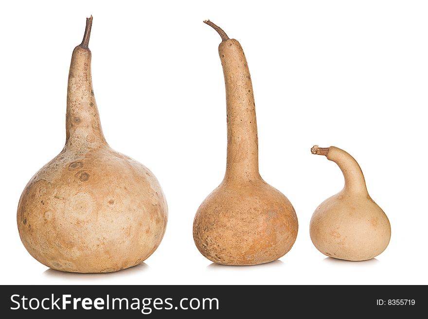 Three dried pumpkins isolated on white background