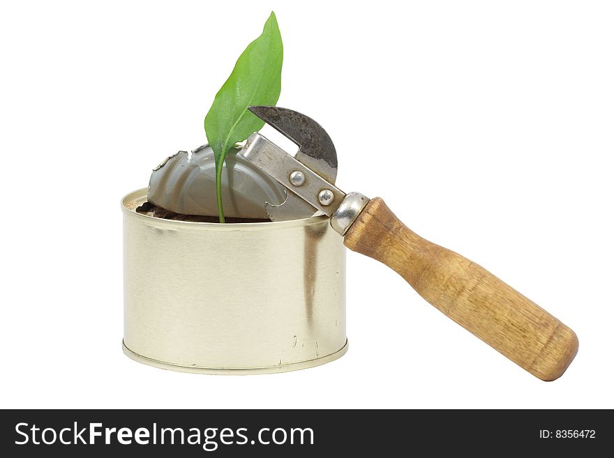 Green leaf inside opened tin and can opener isolated on white background. Green leaf inside opened tin and can opener isolated on white background