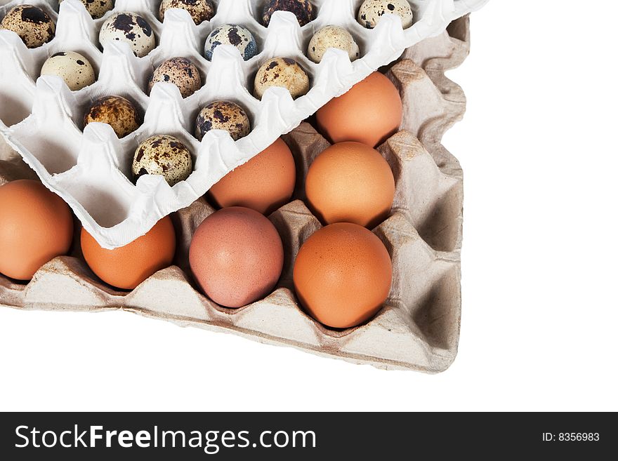 Eggs in the package on a white background