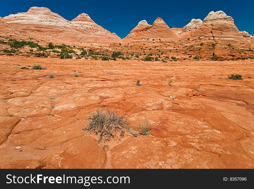 Coyote Buttes