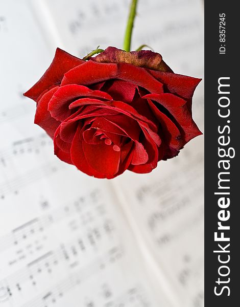 Music, Valentine And Love