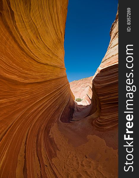 The Wave of Coyote Buttes in the Vermillion Cliffs Wilderness Area, Utah and Arizona