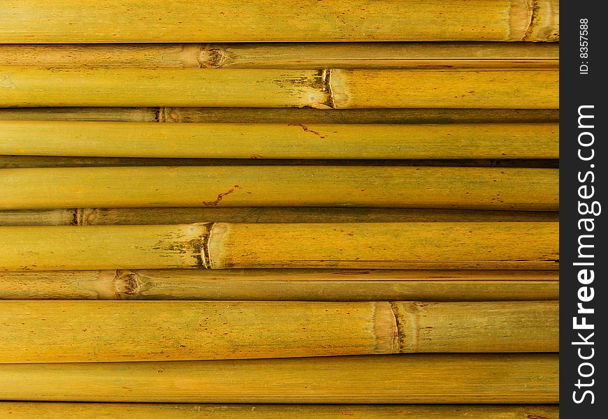 Abstract background from bamboo stalks
