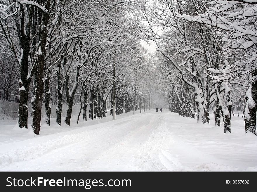 Parking path in winter,afield walk the people,goes the snow. Parking path in winter,afield walk the people,goes the snow.