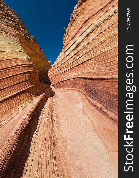 The Wave of Coyote Buttes in the Vermillion Cliffs Wilderness Area, Utah and Arizona