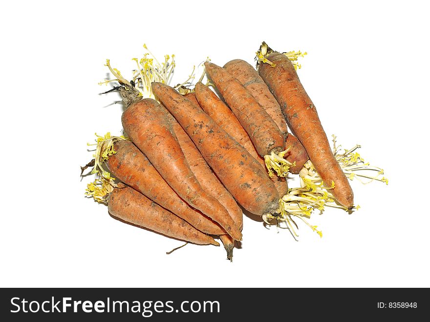 Stack Of Carrot Isolated.