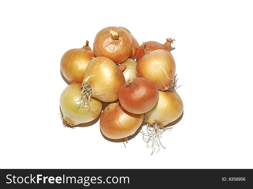 Onion bulbs isolated.