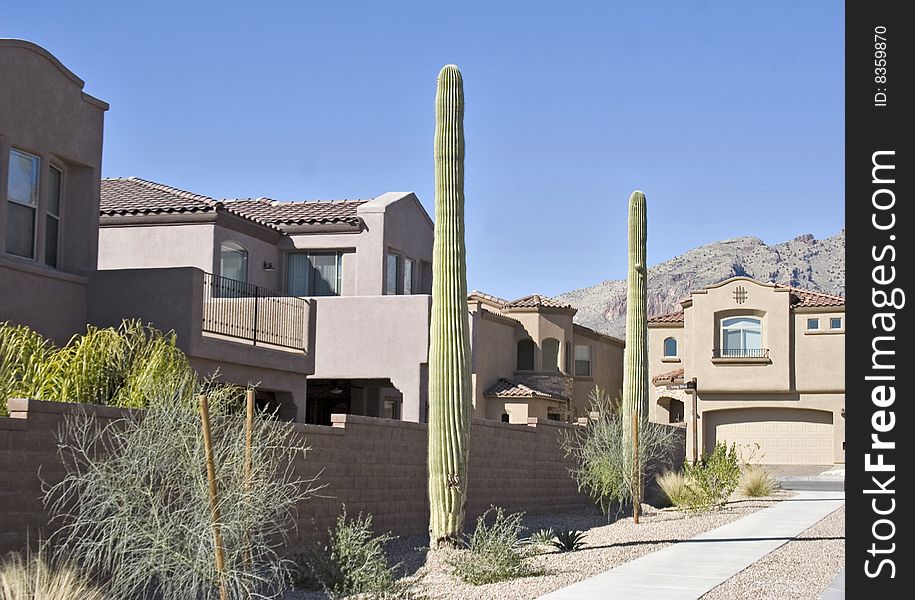 Stucco southwest neighborhood with cactus and mountains. Stucco southwest neighborhood with cactus and mountains