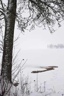 Misty Landscape Royalty Free Stock Images Misty Landscape Royalty Free Stock Images