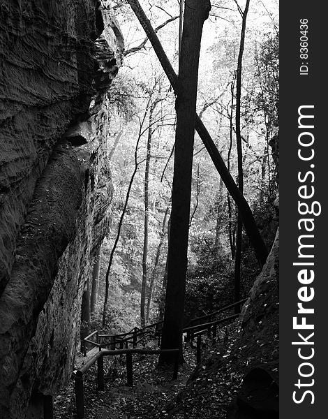 A trail weaver down through a canyon and into a forest in this black and white image. A trail weaver down through a canyon and into a forest in this black and white image