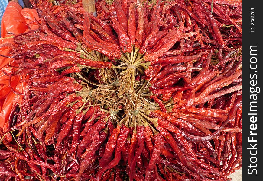 Dry red peppers isolated on the ground.