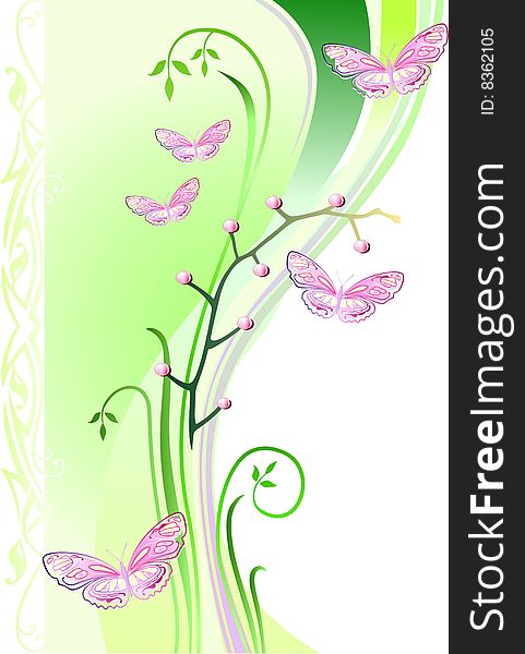 Vector illustration of light-green background with butterflies. Vector illustration of light-green background with butterflies