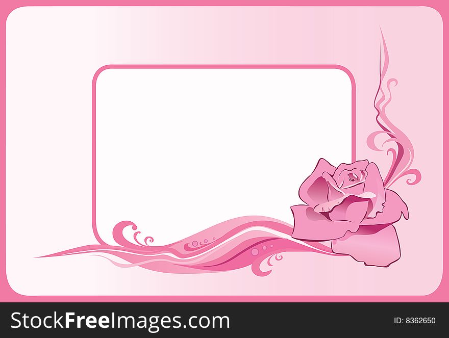 Pink frame on a pink background with a rose