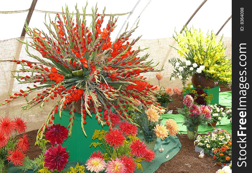 Flower-arrange in floricultural exhibicion. Flower-arrange in floricultural exhibicion
