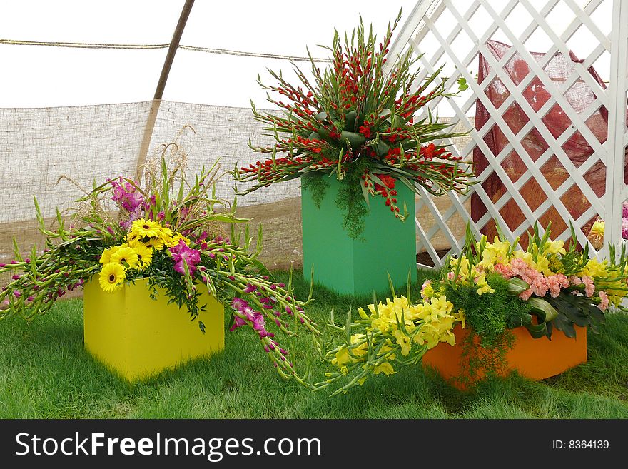 Flower-arrange in floricultural exhibicion. Flower-arrange in floricultural exhibicion