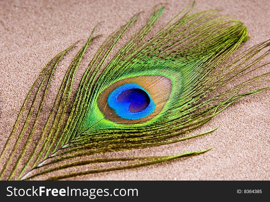 An image of a peacock feather on sand. An image of a peacock feather on sand