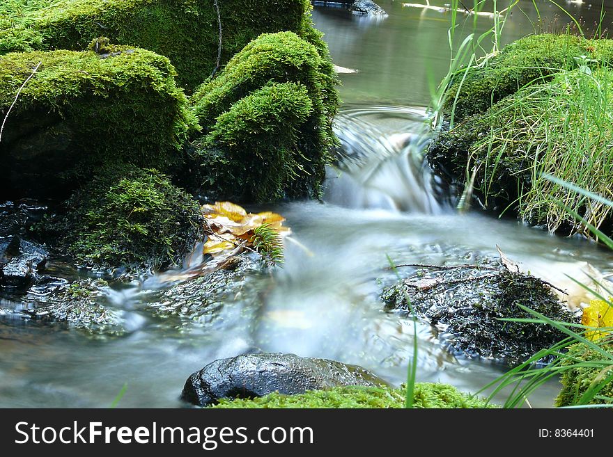 Moss stone in cold streem. Moss stone in cold streem