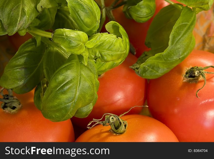 Fresh tomatoes and basil leaves. Fresh tomatoes and basil leaves