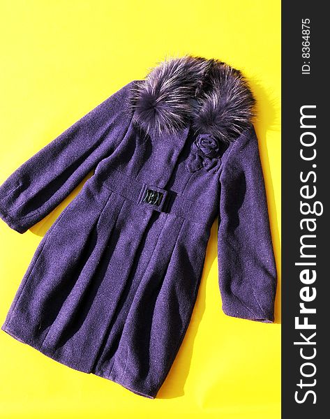 Beautiful coat with purple color, fashion cloth for lady, cloth. Beautiful coat with purple color, fashion cloth for lady, cloth