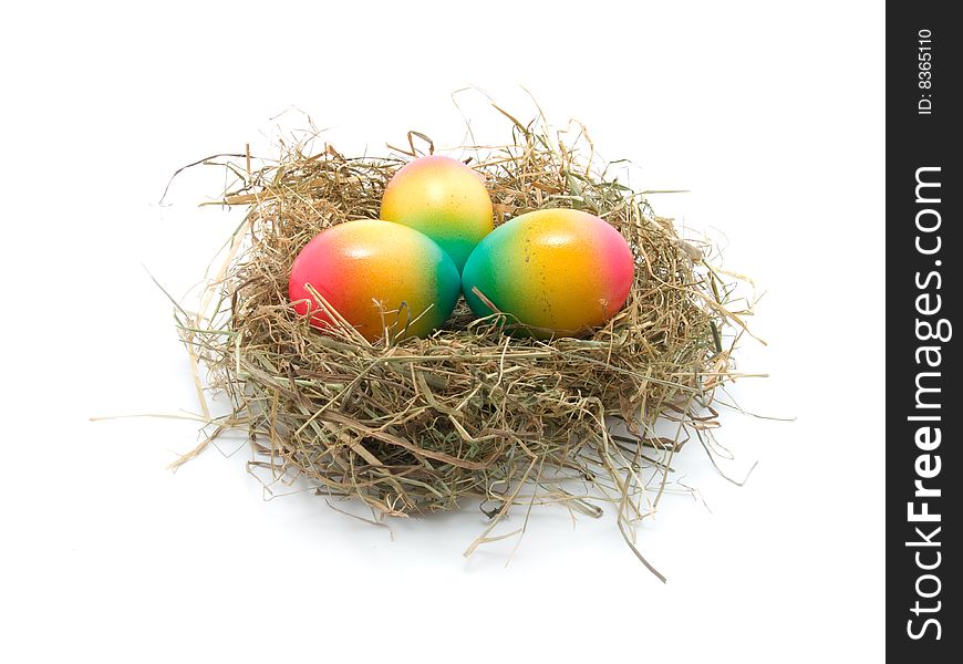 Colored Easter eggs in the nest isolated