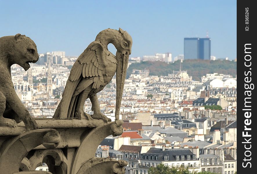 Chimera (gargoyle) on Notre Dame de Paris