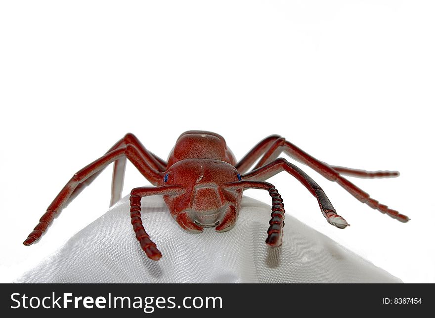 Ant plastic and blackground isolated white
