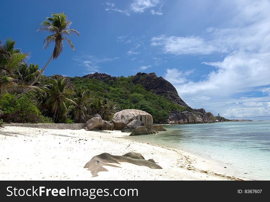 Seychelles stones and palm trees on the bank of azure ocean. Seychelles stones and palm trees on the bank of azure ocean