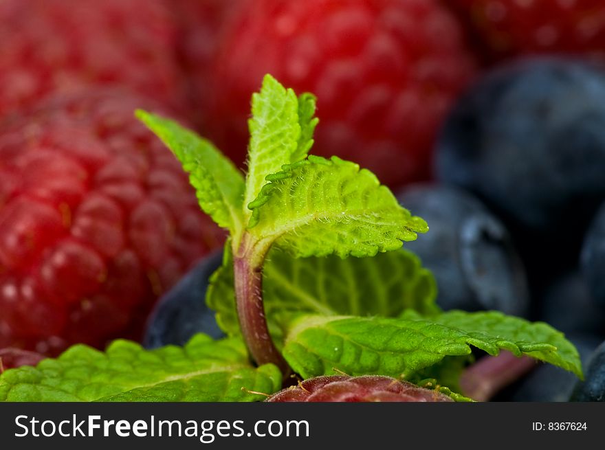 Fresh ripe blueberry, ruspberry and mint leaves